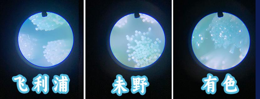 飞利浦、未野、有色迷你mini剃须刀怎么样?各势力测评火拼